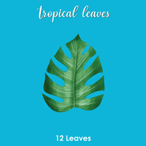 Tropical Leaves 12pcs